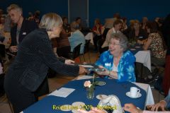 web_DSC_0458